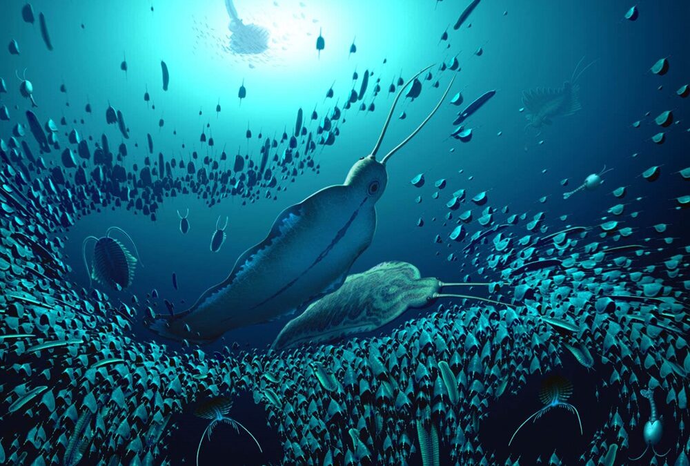 Ces vers prédateurs "géants" vivaient dans les eaux du Groenland il y a 518 millions d’années