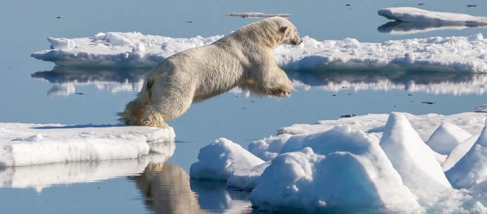 L’Arctique pourrait devenir "libre de glace" d’ici 10 ans