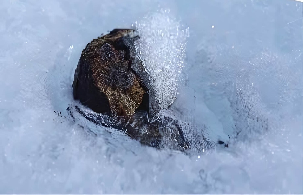Des milliers de météorites encore non découvertes disparaissent dans la glace molle de l’Antarctique