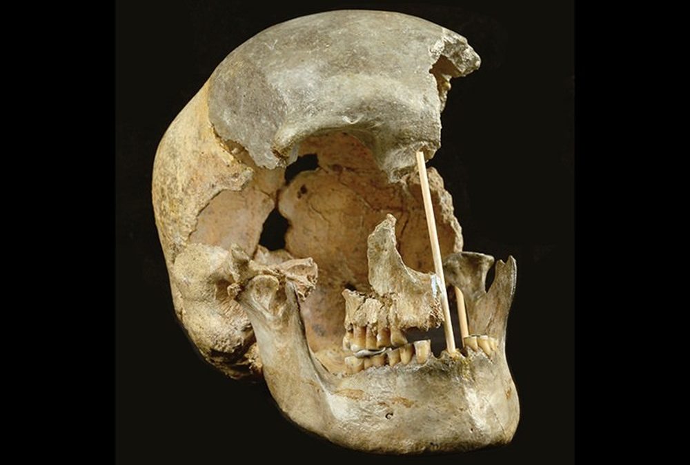 De l’ADN révèle que les humains se sont croisés avec les Néandertaliens il n’y a pas si “longtemps”