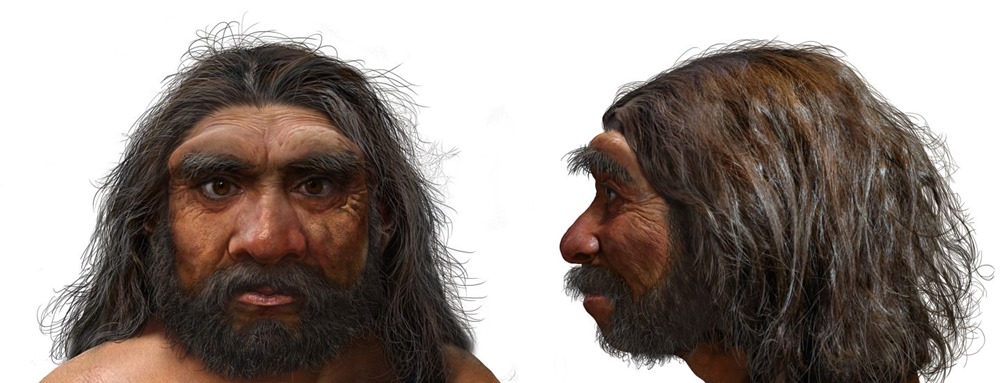 Homme dragon : un crâne vieux de 150 000 ans fournit un lien avec une nouvelle espèce humaine