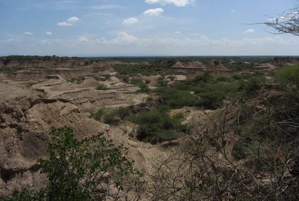 Sans conteste les plus anciens restes humains modernes en Afrique