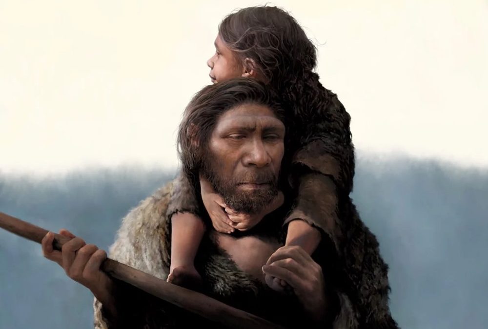 Des humains modernes étaient déjà présents en Europe du Nord il y a 45 000 ans
