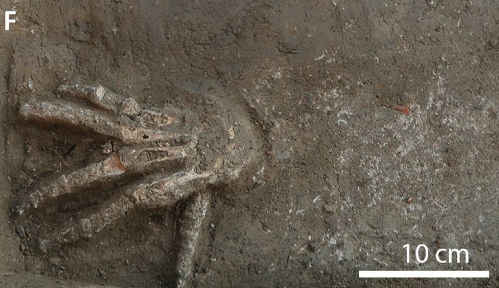 Une fosse de mains coupées pourrait être les restes d’une macabre cérémonie de l’ancienne Égypte