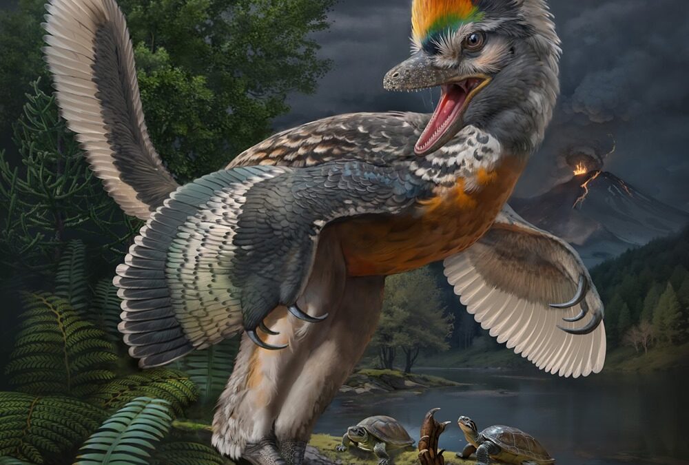 Un dinosaure suffisamment étrange pour reconsidérer l’évolution des oiseaux