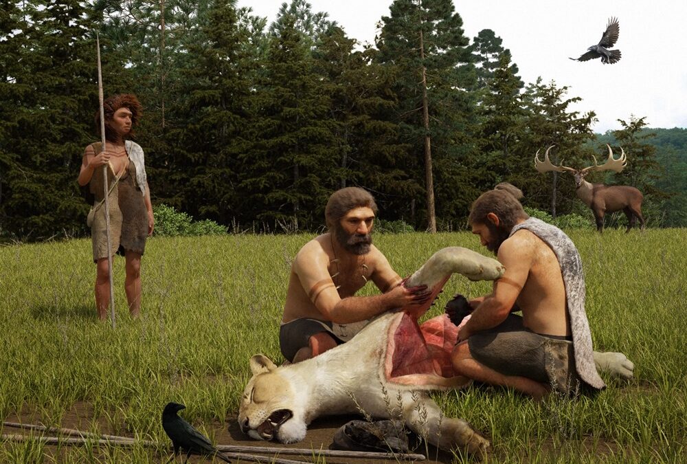 Les Néandertaliens chassaient les lions des cavernes à l’aide de lances et utilisaient leurs peaux