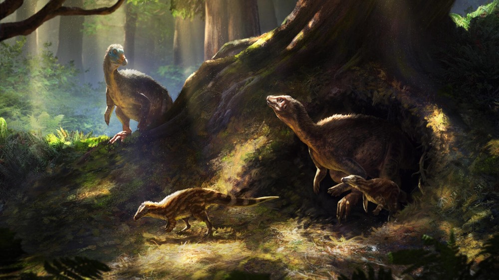 Un dinosaure "oublié" se révèle être doté de sens exceptionnels, parfaits pour la vie souterraine