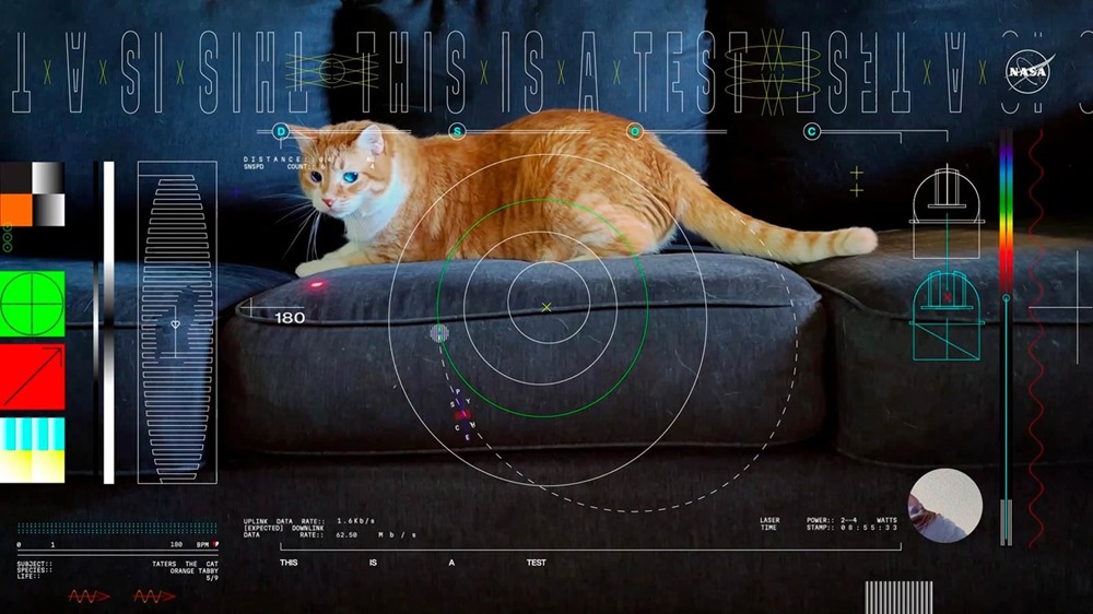La NASA utilise un laser pour diffuser la première vidéo dans les profondeurs de l’espace et il s’agit bien sûr d’une vidéo de chat